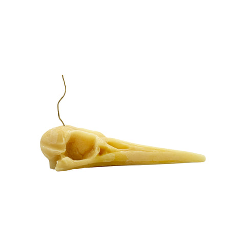 Laughing Bird Skull Candle - WellLocal