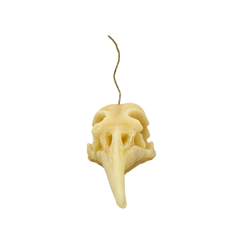 Laughing Bird Skull Candle - WellLocal