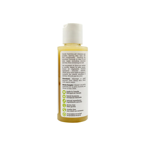 Smith Farms Gentle Foaming Facial Cleanser - WellLocal