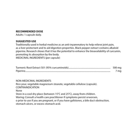 RAW Nutritional Turmeric - WellLocal