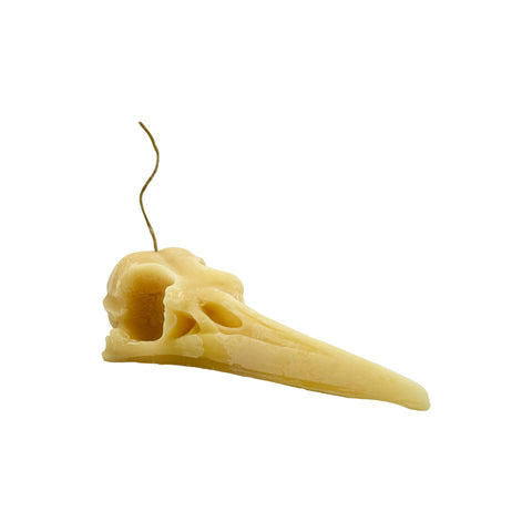 Laughing Bird Skull Candle - WellLocal