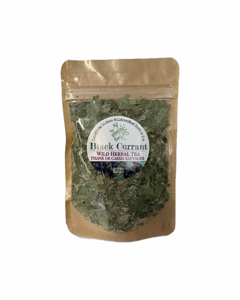 Laughing Black Currant Wild Herbal Tea - WellLocal